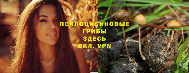 Галлюциногенные грибы MAGIC MUSHROOMS  наркошоп  Конаково 